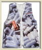 Tyvek-promotional-apparel (15)
